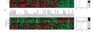 SABCS 2007, Abstract 10 Supervised Classification on Prognostic Signatures on 78 Tumors Independent Validation of 70-Gene Signature MammaPrint (Agendia) 295