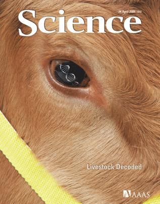 Summary and Perspectives Substantial amount of resources already invested in sequencing, annotation, and functional genomics studies in bovine A breadth of knowledge of biochemical pathways, their