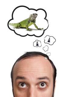 informed choices Lizards can t compare and contrast,