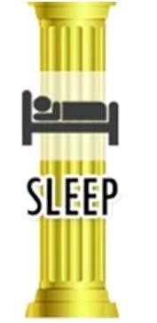 Pillar 3: Sleep Sleep Mini vacation before bed Sleep hygiene Stop eating before bed Dim the