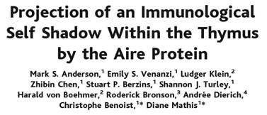 Immune Regulation and Tolerance Immunoregulation: A balance between activation and suppression of effector cells to achieve an efficient immune response without damaging the host.