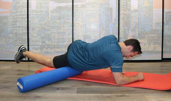 11 Tensor Fasciae Latae (TFL) Tensor Fasciae Latae (TFL) Lying face down, place the foam roller on the TFL. This muscle is roughly where your pocket would be on your suit pants.
