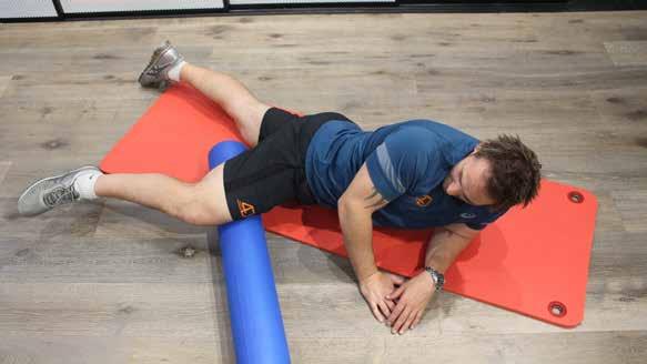 13 Adductor Group Adductor Group Lying on your stomach, place the foam roller on the inside of your thigh.