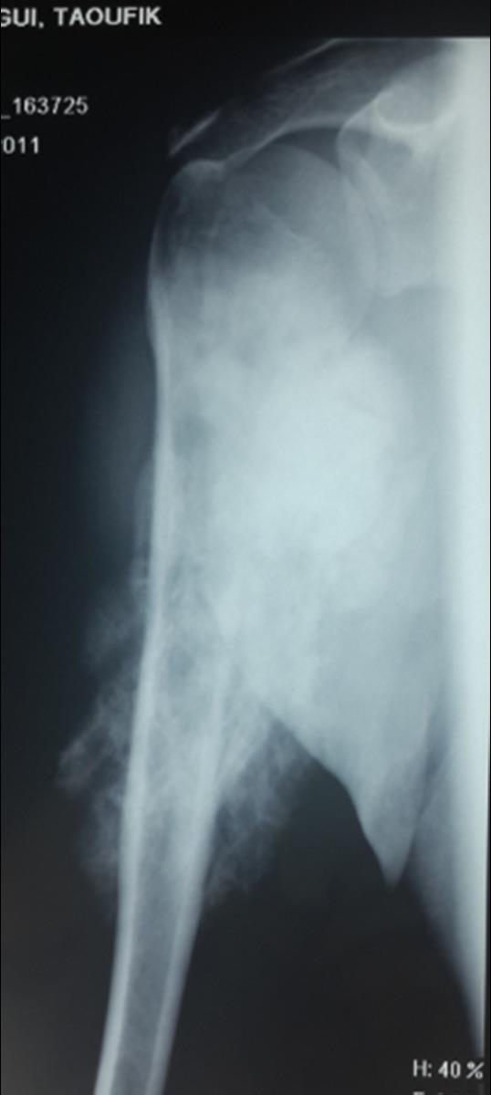 Fig. 12 Radiology, Farhat