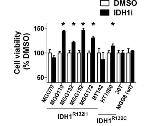 Decreased 2-HG by IDHi did not lead to decrease in cell viability in