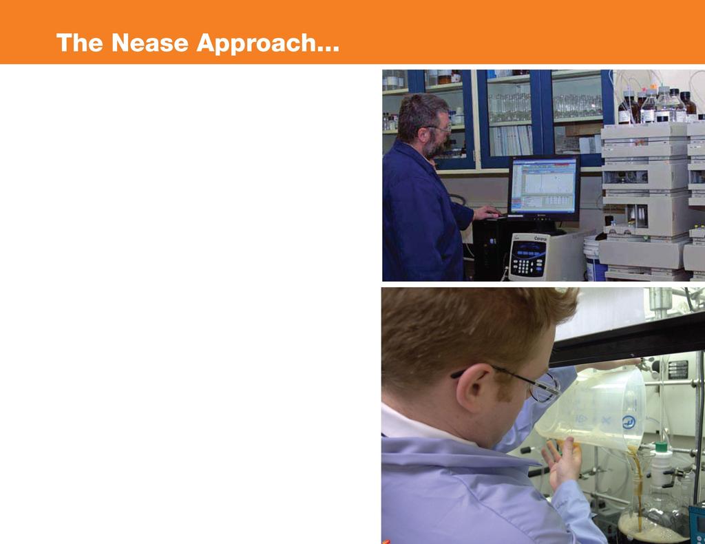 Niche supplier of sulfonates and related chemicals Narrow product focus Product lines are built on technology platforms where Nease's experience and knowledge create value Offer value by focusing