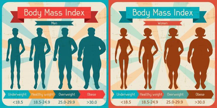 Body Mass Index BMI is a measure of body weight in relation to height 55 Body Mass Index BMI
