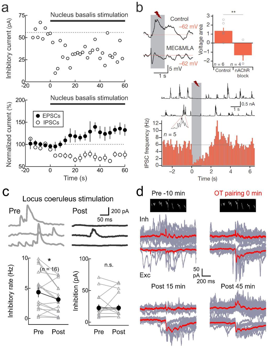 Froemke and Schreiner Page 26 Figure 5. Neuromodulation reduces AI inhibition. a, Nucleus basalis stimulation in adult rat AI rapidly reduces inhibition; excitation more slowly increases afterward.