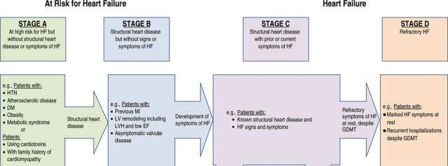 Stages of heart failure Stages in the development of HF and recommended therapy by stage.