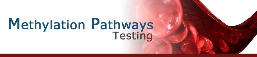 How do we test for methylation status?