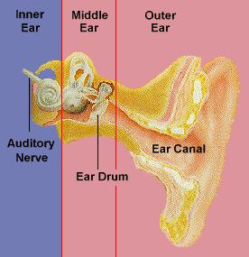 Sensory Hearing Loss Caused by damage to or a malfunction of