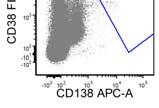 PCs in LPL often express CD19 and CD45 but lack CD56