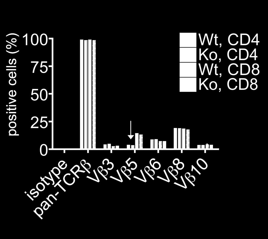 Supplemental Figure 2. Normal TCR Vβ subsets in the CD4cre-fur f/f animals.