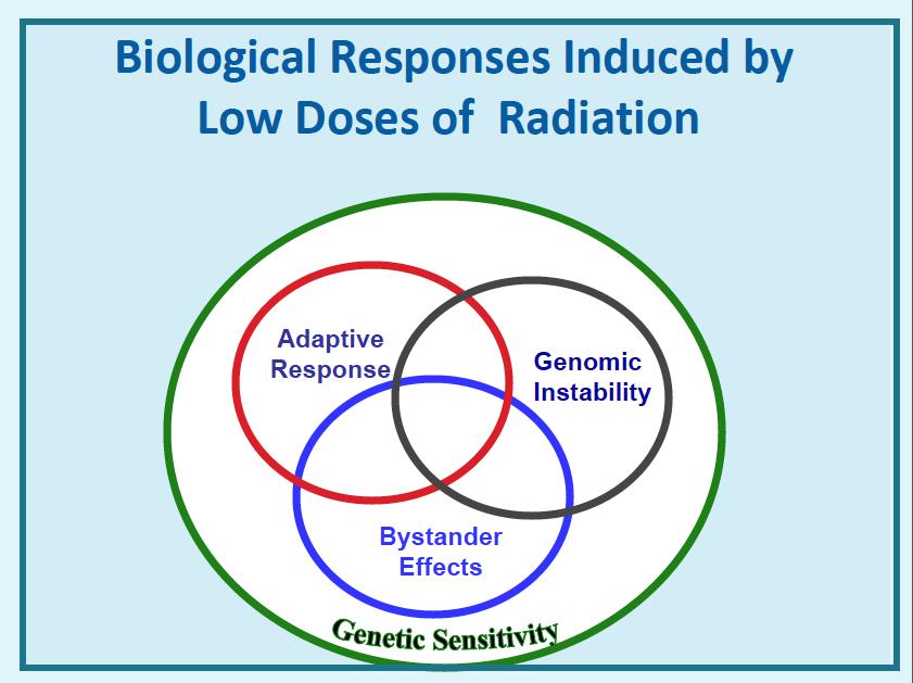 55 AL Brooks 2012 Dose and Dose-Rate Effectiveness Factor (DDREF) A judged factor that generalizes the usually lower biological effectiveness [per unit of dose] of radiation exposures at low doses