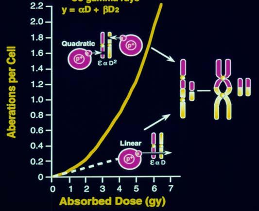 Cytogenetics - Dicentrics Assayed in peripheral lymphocytes Cytogenetics -