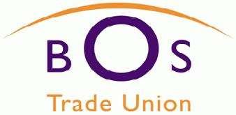 AGM 9 th July 2015 Aston University, Birmingham 14:04 The British & Irish Orthoptic Society AGM started BIOS AGM 65 members in attendance (run during the BIOS Scientific Conference) Those in