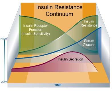 Clinical Use Identification of patients with Insulin Resistance Guide treatment strategy for patients with Insulin Resistance Disease Summary Insulin Resistance Figure 1 Insulin Resistance is a