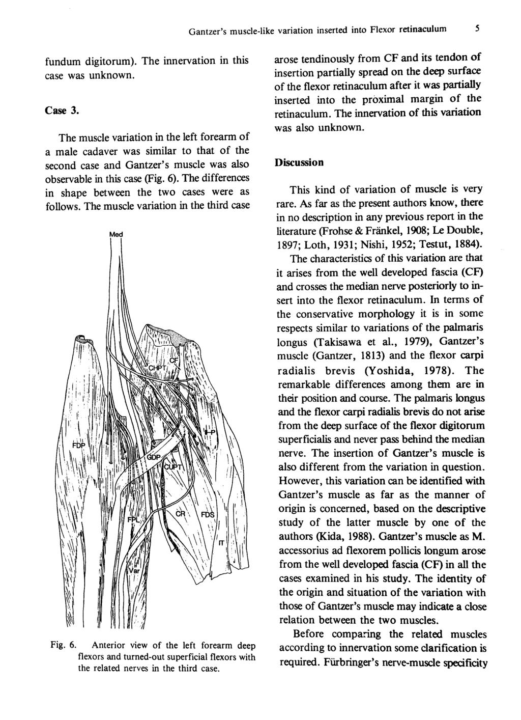 Gantzer's muscle-like variation inserted into Flexor retinaculum 5 fundum digitorum). The innervation in this case was unknown. Case 3.