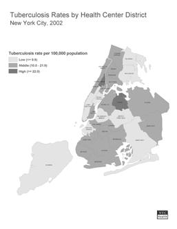 Health Districts with Case Rate* $2 New York City, 22 Case rates per 1, 4. 3. 3. 2. 2. 1. 1... 38. Central Harlem Manhattan Queens Brooklyn 28. 21.8 2.7 2.3 2.