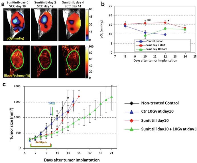 126 S. Naz et al. Fig. 5.9 EPRI imaging of tumor po 2 and blood volume for monitoring chemoradiation response.