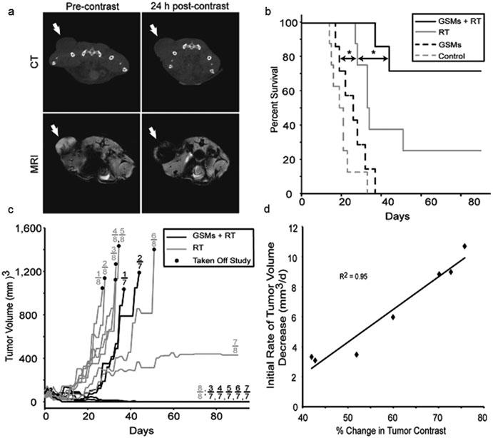 10 Increasing the Therapeutic Efficacy of Radiotherapy Using Nanoparticles 257 Fig. 10.4 ( a ) CT ( top ) and MR ( bottom ) imaging of HT1080 flank tumor-bearing mice 24 h postinjection of GSMs.