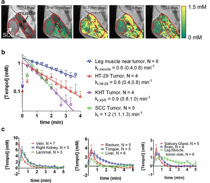 4 Radioprotection as a Method to Enhance the Therapeutic Ratio of Radiotherapy 85 Fig. 4.3 Results from a redox imaging experiment of tumor and salivary glands.
