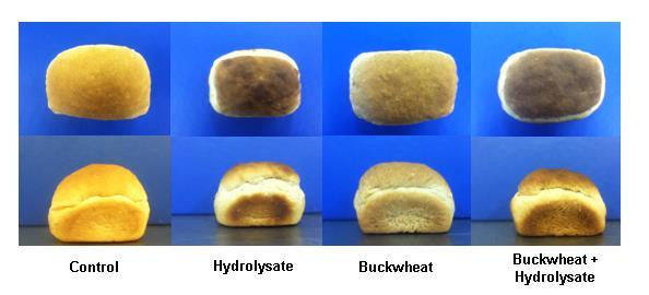stability in mixing Control Hydrolysate Buckwheat Buckwheat + Hydrolysate A high value corresponds to low amylase activity