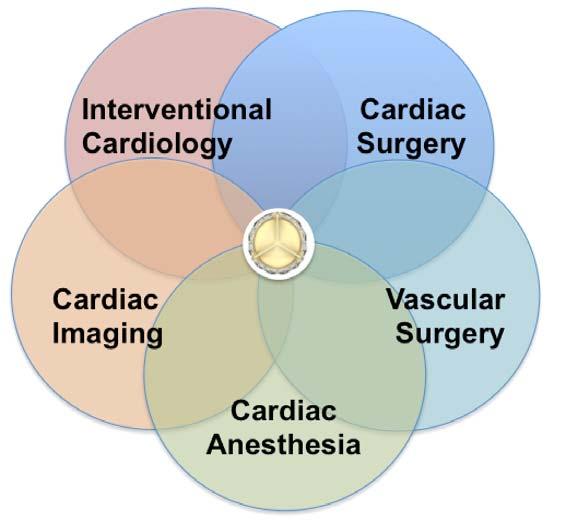encompassing non-coronary cardiac disease processes and developing interventional techniques.