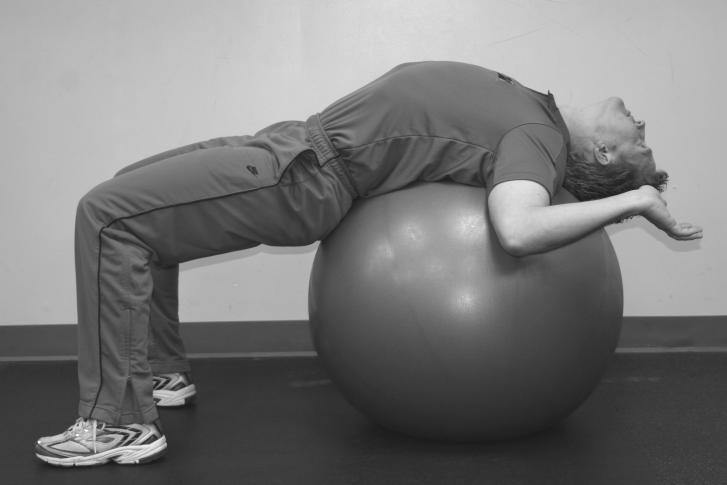 Swiss Ball Back Extension (Chest Shoulders, Abs, Anterior Spinal Ligaments) Lie on a Swiss ball and bring arms up with 90-degree angles at shoulder