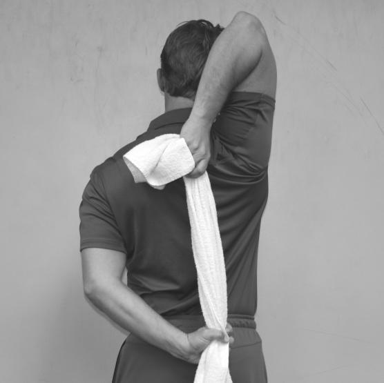 Back Scratch Stretch (Chest, Anterior Shoulders, Triceps, Interscapular Muscles) Standing with proper posture, bring arms behind back and