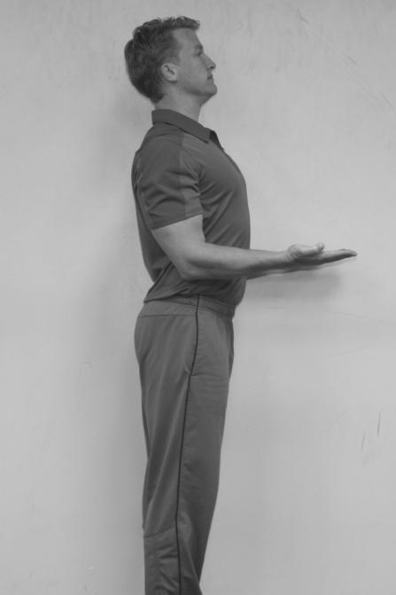 Straight Leg Waiter Stretch (Low Back and Hamstrings) Stand with feet close together and knees straight with hands out