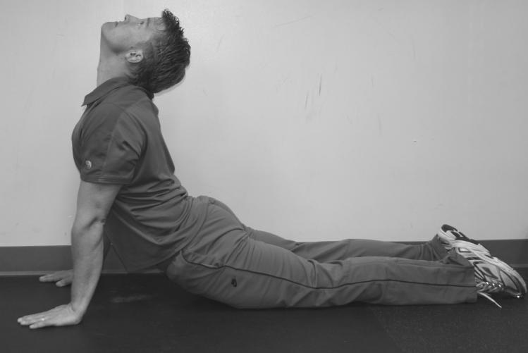Prone Back Extension (Low Back, Anterior Spinal Ligaments, Abdominals) Lie on floor with hands in push up position.