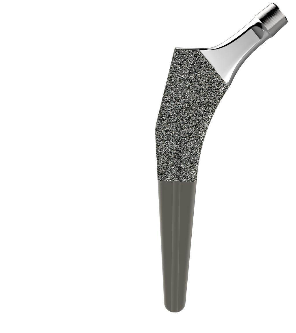 Features Cementless Hip Stem Clinically proven geometry, material and coating (Ti6Al4V with titanium plasma