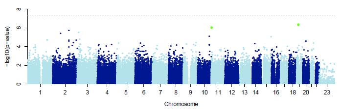 GWAS analysis: specific phenotypes Extreme phenotype: 14 OLT/ Death vs Controls: 220 Latency: days of exposure as