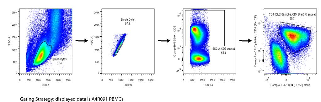 Supplementary Figure 6 a b % Positive cells after CD3 gating 80 70 60 50 40 30 20 10 0 A4R091 Injected Probe A4R091 In vitro Stain A4R091 dual + cells PBMC Mes LN Ax LN Ing LN Spleen c %Positvie