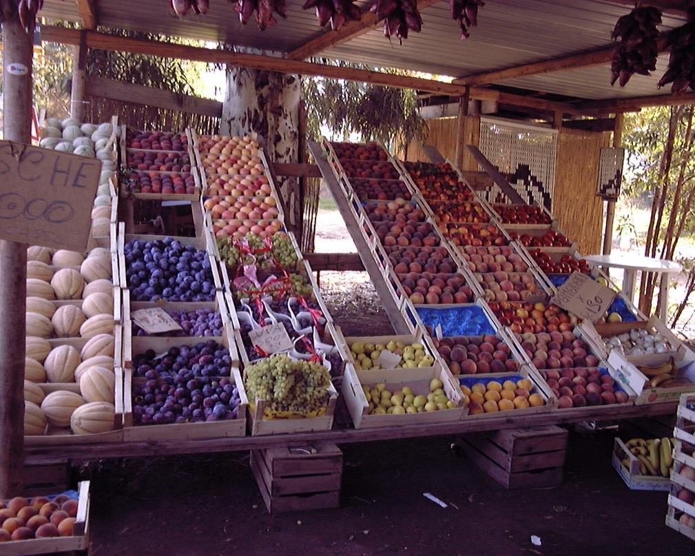 Economic costs Establishment of fruit