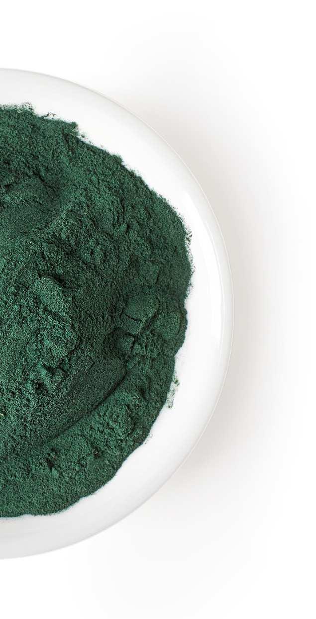 6 NUTRICODE BEAUTY DETOX SPIRULINA GREEN SUPERFOOD Unique algae, classed among the 10 best more protein than meat (ca. 70%) and more calcium than milk!