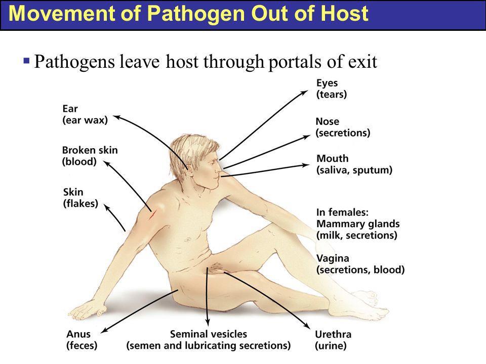 The Movement of Pathogens Out of Hosts: Portals of Exit CONCEPT 14.