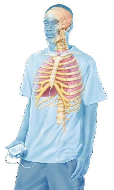 Axial Skeleton The axial skeleton is made up of the bones found in the trunk and head of the body. The bones of the axial skeleton support the weight of the body and protect the internal tissues.