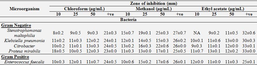 Antibacterial activity: Antibacterial activity of three different concentrations of extracts of S.