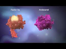 Reversal Agents Factor Xa Inhibitors Andexanet alfa: F-Xa Inhibitor Antidote Factor Xa decoy - Targets and sequesters Factor Xa