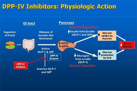 SGLT2 inhibitors: reduce renal glucose reabsorption Canagliflozin (Invokana) and Dapagliflozin (Forxiga) SEs: UG
