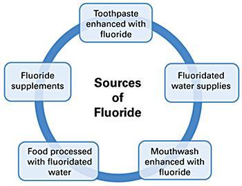 Fluoride and Your Child