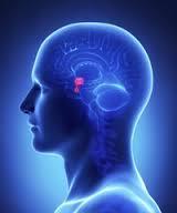 Pituitary Disorders Pituitary tumours in most cases benign - Secretory tumours cause too much secretion of a hormone - Non-secretory tumours do not secrete