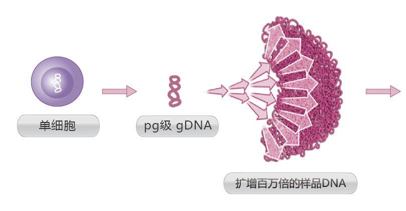 MALBAC TM Single Cell WGA Technology Single cell pg level DNA MALBAC TM