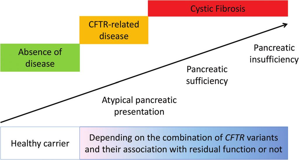 Figure 1: Spectrum of exocrine pancreatic function disturbances in CF and CFTR-related disease 5.