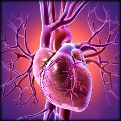 5 Migraine comorbidities Other Pain Disorders MI Angina Stroke Hypertension/ hypotension Raynaud s