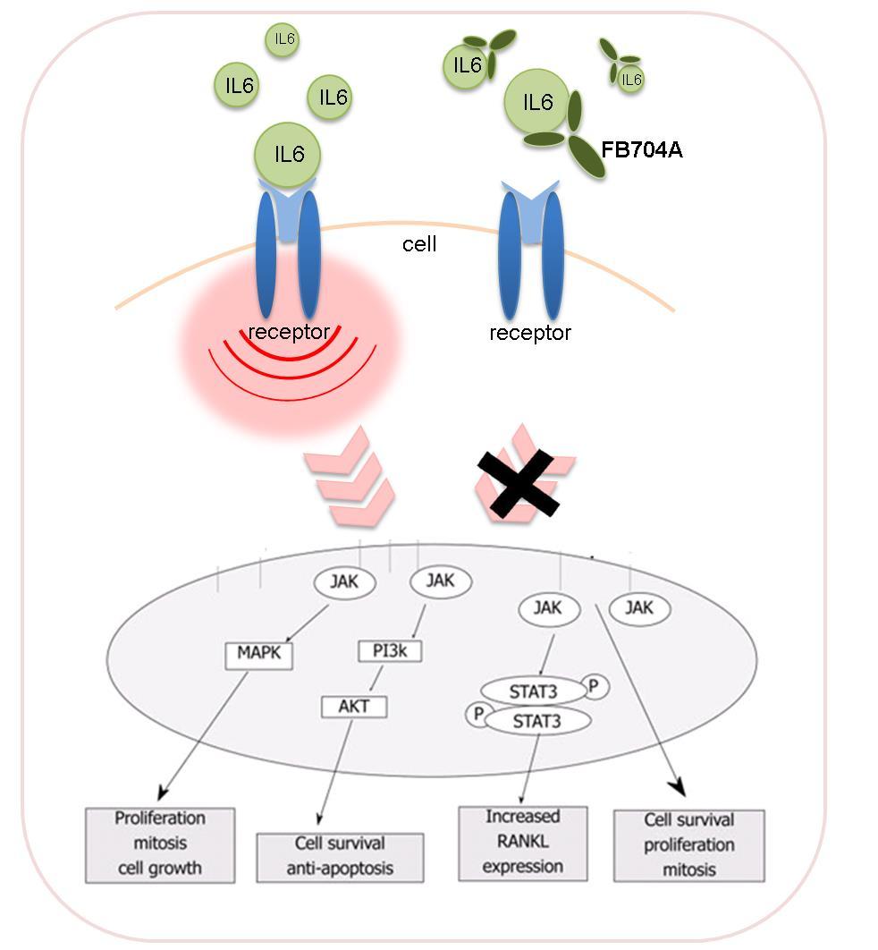 IL6 為已認可之藥物開發標的 25 Multiple Indications Mechanism of Action Cancers Multiple Myeloma EV71 Virus Cytokine Strom Dengue Virus Prostate Cancer Influenza Virus