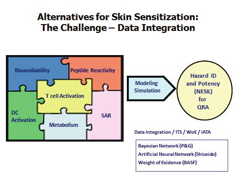 Presentation on in vitro Skin Sensitization Test Methods Dr.