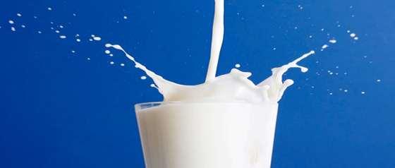Milk: Source of Bioactives for Health CLA